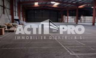 Commerce  3200 m² à louer à Perpignan (66000)