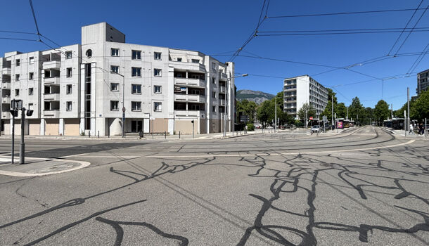 Appartement 1 pièces  à louer Grenoble 38100