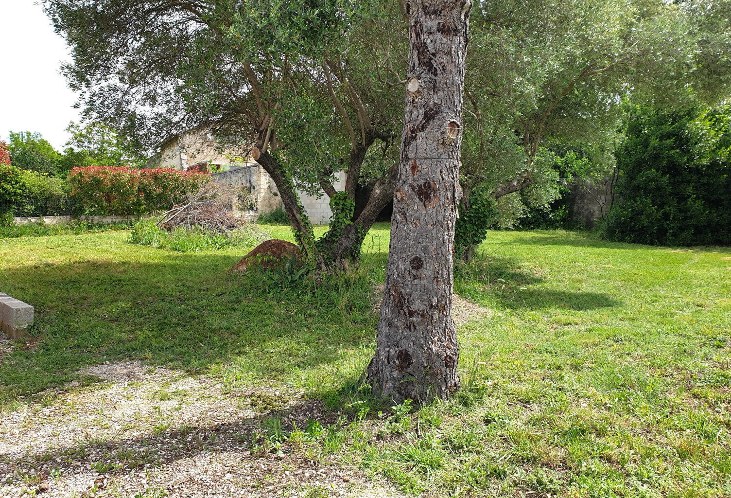 À Entre-Vignes, terrain à batir avec REVIMO — photo 1