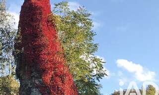 Appartement 3 Pièces 67 m² à vendre à Paris 19 (75019)