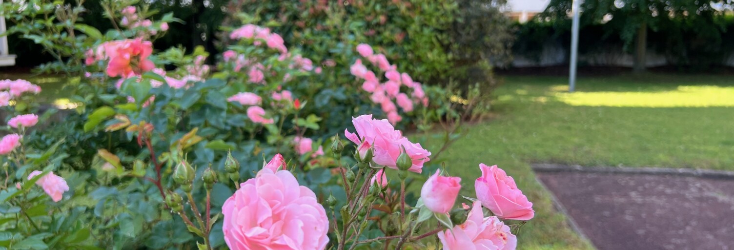 Photo N° 2