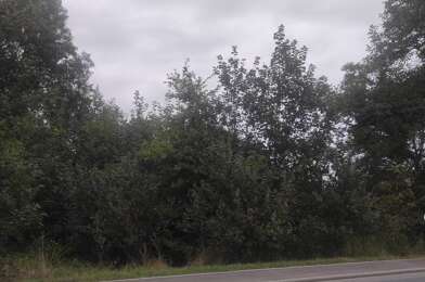 Terrain  39000 €