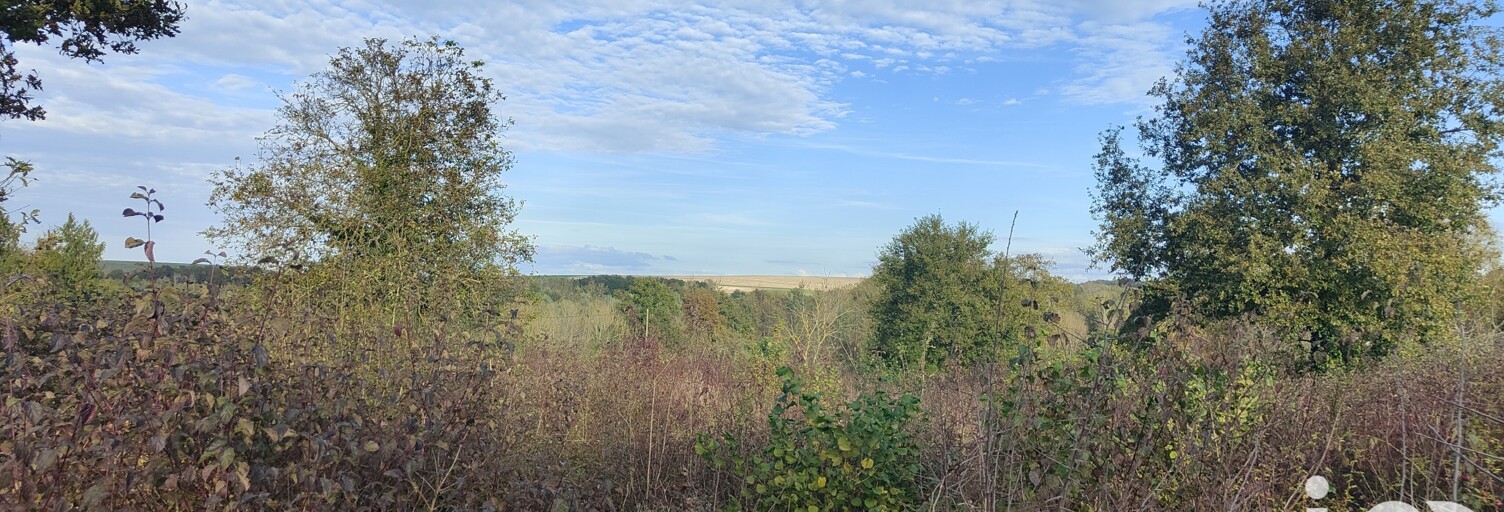 Terrain  4085 m² à vendre à Saint-Maurice-Thizouaille (89110)