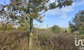 Terrain  865 m² à vendre à Saint-Maurice-Thizouaille (89110)