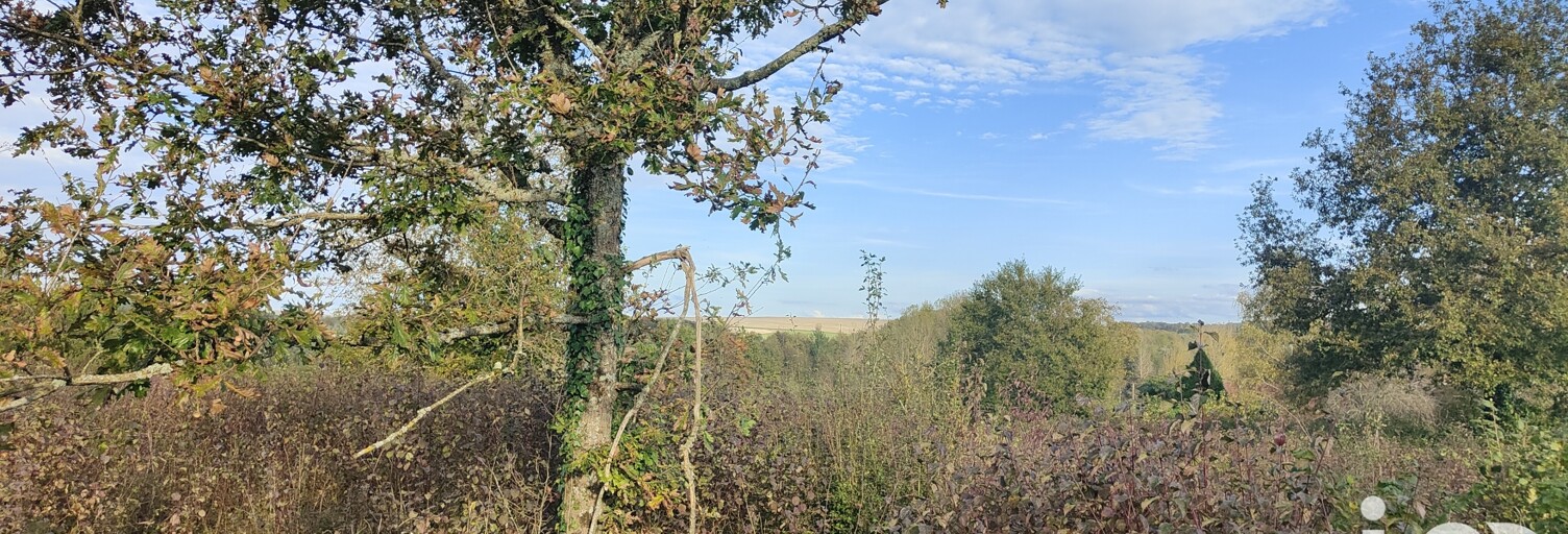 Terrain  865 m² à vendre à Saint-Maurice-Thizouaille (89110)