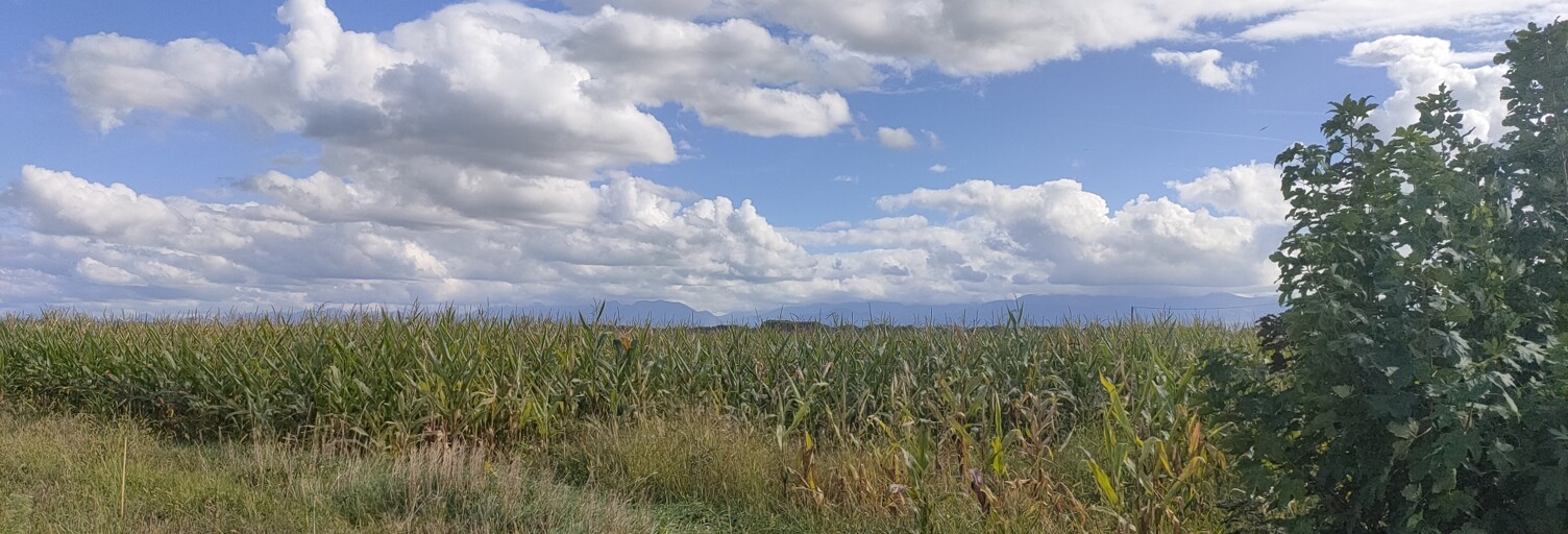 Terrain  3756 m² à vendre à Ibos (65420)