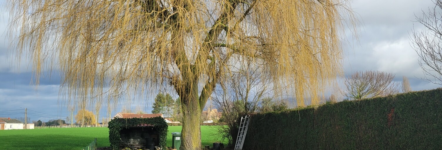 Photo N° 2