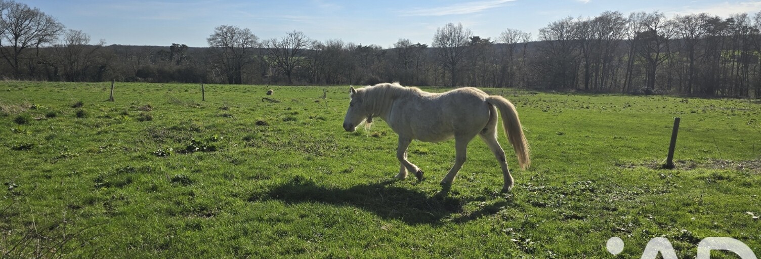 Maison 7 Pièces 236 m² à vendre à Isle-et-Bardais (03360)