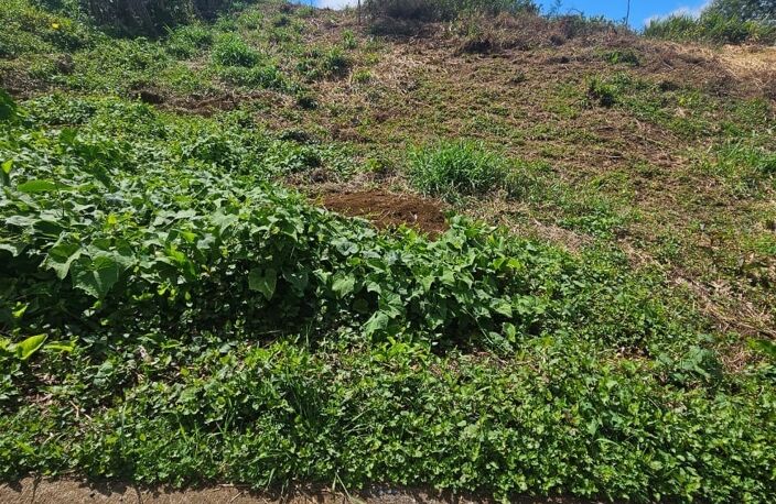 Vente Terrain 1 188 m&sup2; — photo 2