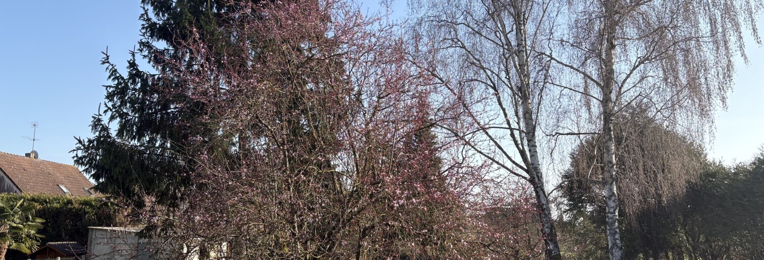 Maison 3 Pièces 65 m² à vendre à Villenauxe-la-Grande (10370)