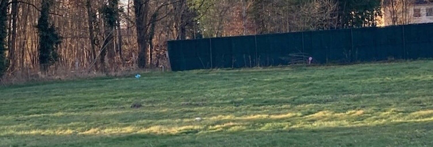 Terrain  1008 m² à vendre à Gergy (71590)