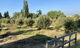 Terrain  6500 m² à vendre à Sainte-Cécile-les-Vignes (84290)