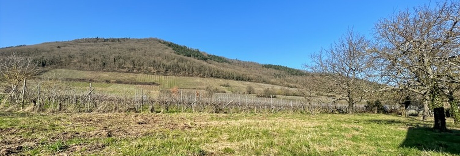 Terrain  2211 m² à vendre à Châtenois (67730)