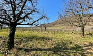 Terrain  2211 m² à vendre à Châtenois (67730)