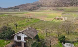 Maison 2 Pièces 60 m² à vendre à Châtenois (67730)