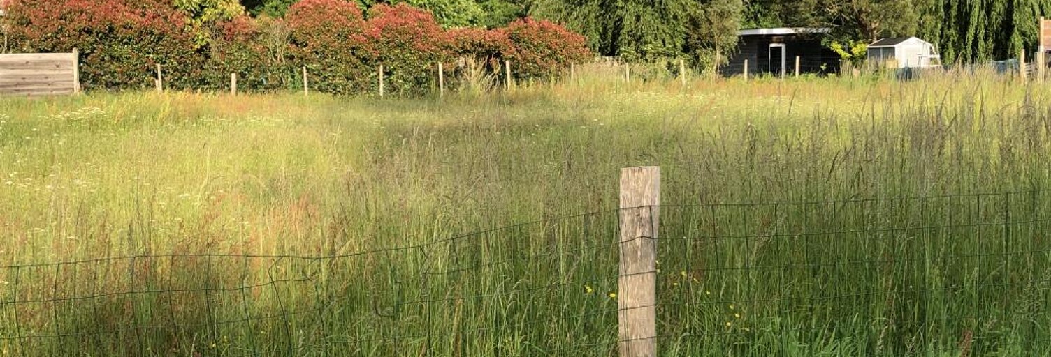 Maison 90 m² à construire Le Teich (33470)