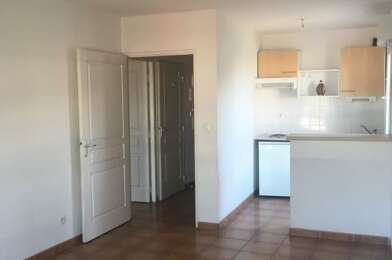 Appartement 1 pièces 590 €