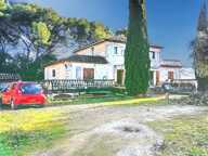 Mougins – Villa de caractère sur 3 370 m² avec terrasses et dépendance — photo 2