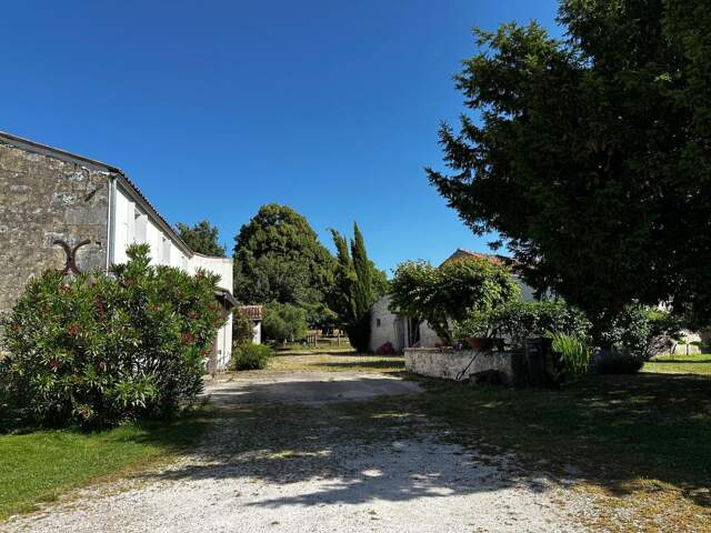 Propriété en Pierres - Maison 113 m² - Dépendances - Pâture — photo du bien