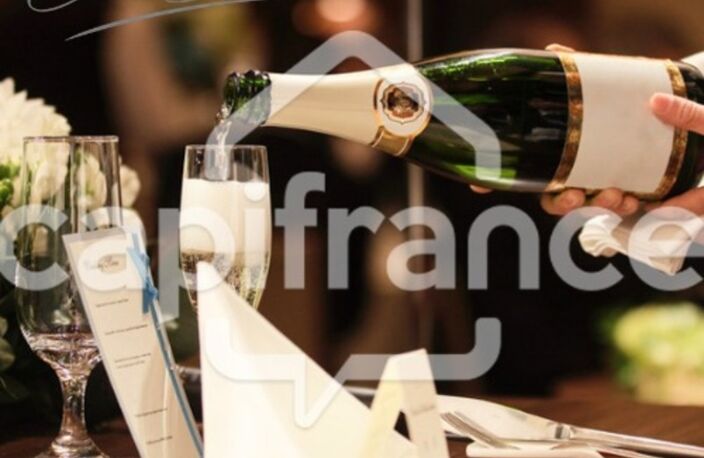 RESTAURANT à vendre  FONTAINES SUR SAONE (69) — photo 3