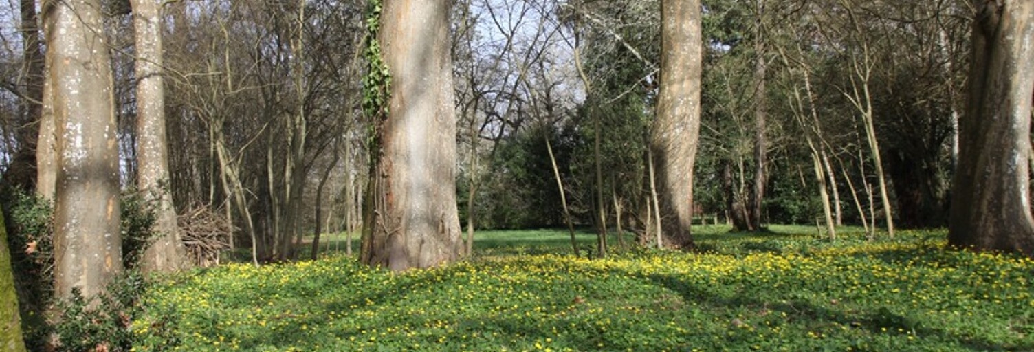 Terrain  8124 m² à vendre à Bergerac (24100)