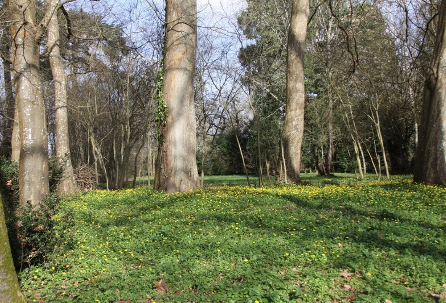 Terrain à vendre de 8 124,00 m² BERGERAC (24) — photo 1