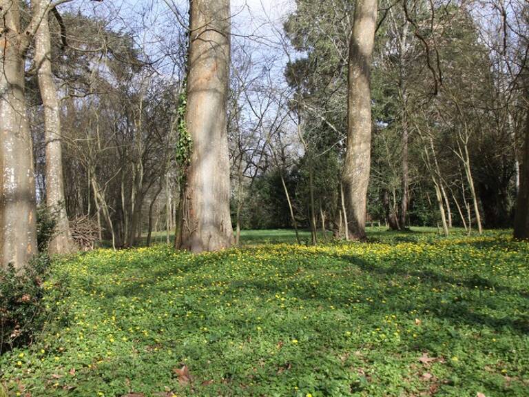 Terrain à vendre de 8 124,00 m² BERGERAC (24) — photo 1