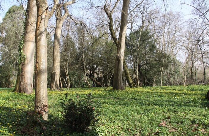 Terrain à vendre de 8 124,00 m² BERGERAC (24) — photo 3