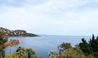 Commerce 7 Pièces 123 m² à vendre à Saint-Raphaël (83530)