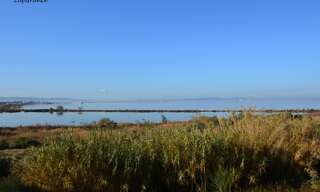 Appartement 2 Pièces 41 m² à vendre à Vitrolles (13127)