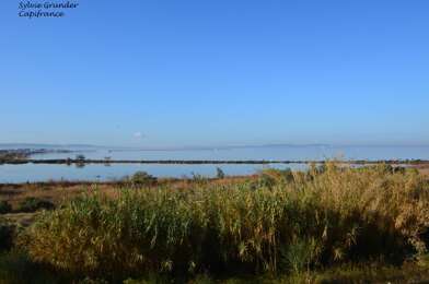 Appartement 2 pièces 199000 €