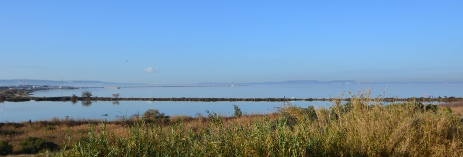 Appartement 2 Pièces 41 m² à vendre à Vitrolles (13127)