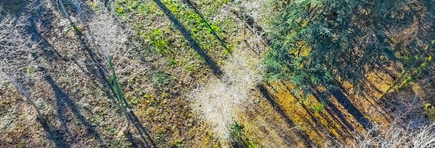 Terrain  1386 m² à vendre à Jurançon (64110)