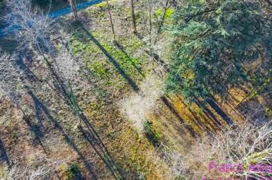 Terrain  77000 €