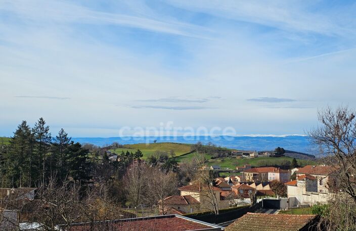 Maison à vendre 7 pièces AVEC JARDIN PANISSIERES (42) — photo 3