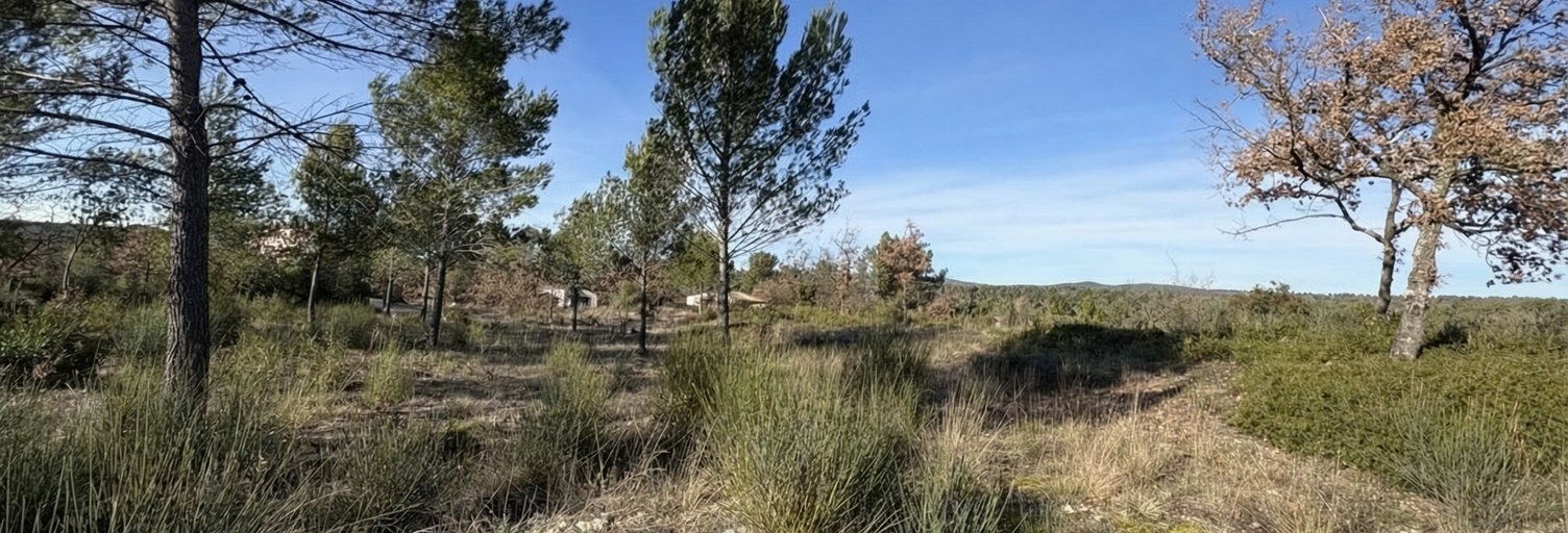 Terrain 3000 m² à construire Saint-Maximin-la-Sainte-Baume (83470)