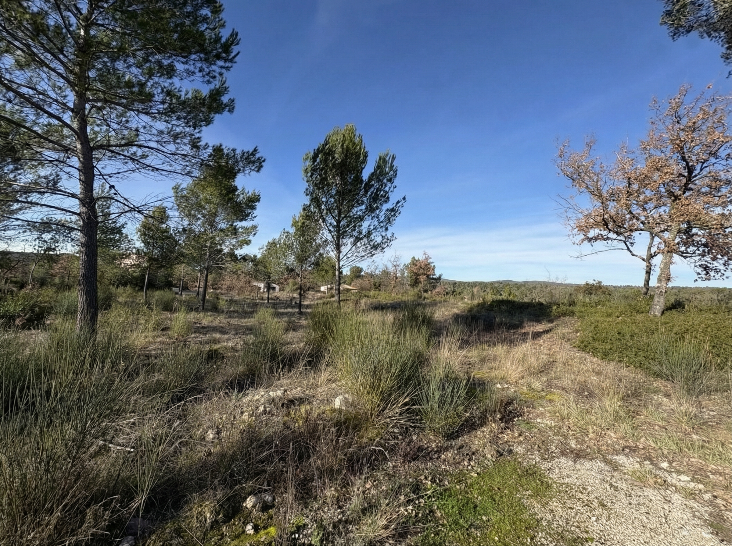 Terrain  à vendre Saint-Maximin-la-Sainte-Baume 83470