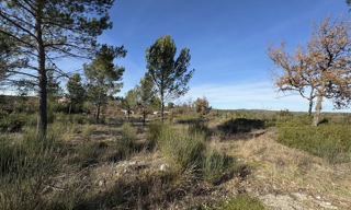 Terrain 3000 m² à construire Saint-Maximin-la-Sainte-Baume (83470)