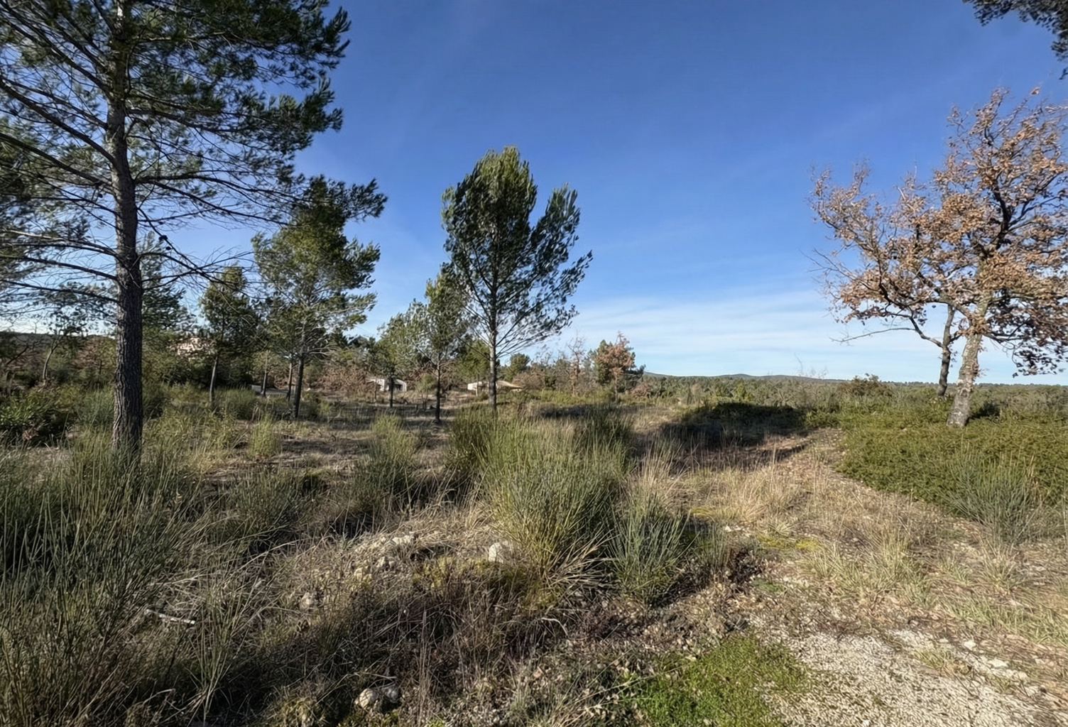 Vente terrain à construire 3000 m² Saint-Maximin-la-Sainte-Baume (83470) — photo 1