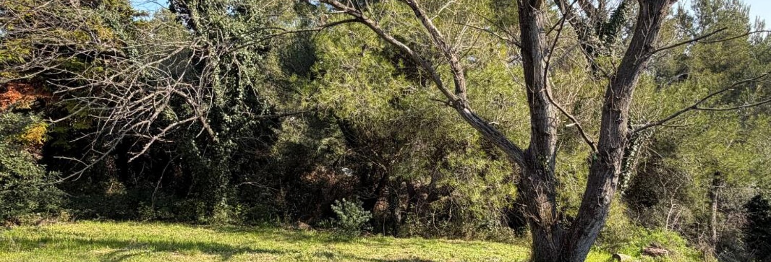 Terrain  1000 m² à vendre à Aramon (30390)