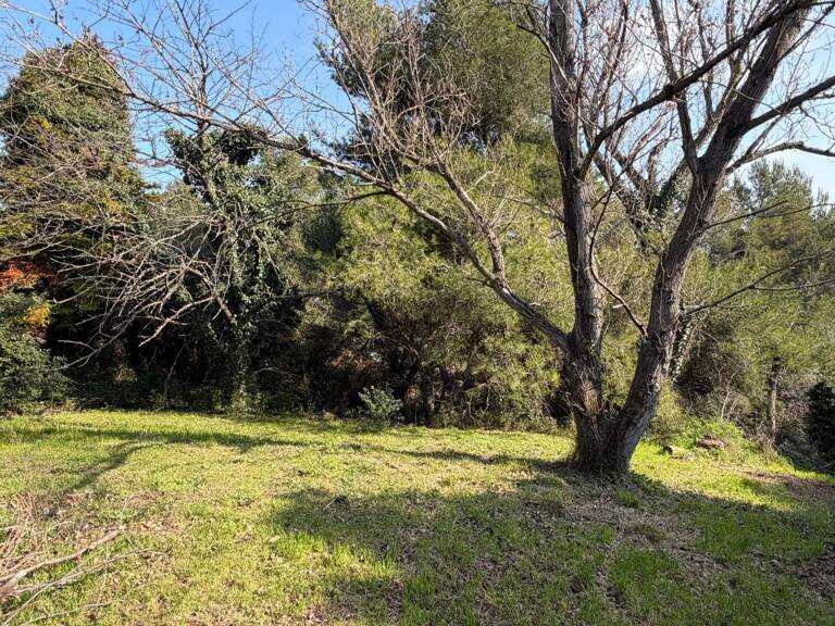 Terrain à Vendre — photo 1