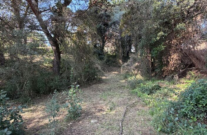 Terrain à Vendre — photo 3
