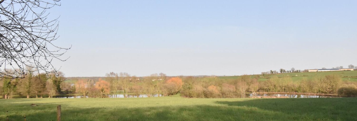 Maison  41945 m² à vendre à La Tessoualle (49280)