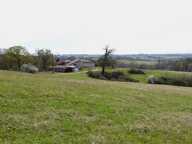 Landes 40250 Caupenne, propriété 21 ha avec habitation et dépendances — photo 2