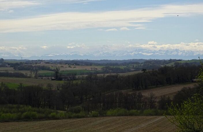 Landes 40250 Caupenne, propriété 21 ha avec habitation et dépendances — photo 3