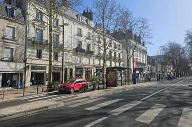 Commerce  3000 €