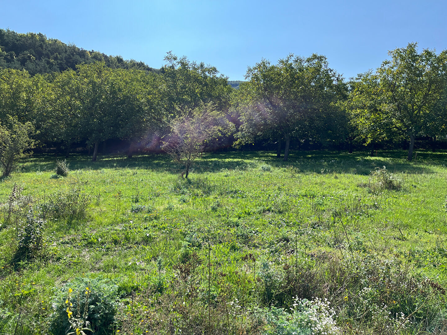 Agence immobilière de Square Habitat Sud Hautes Alpes