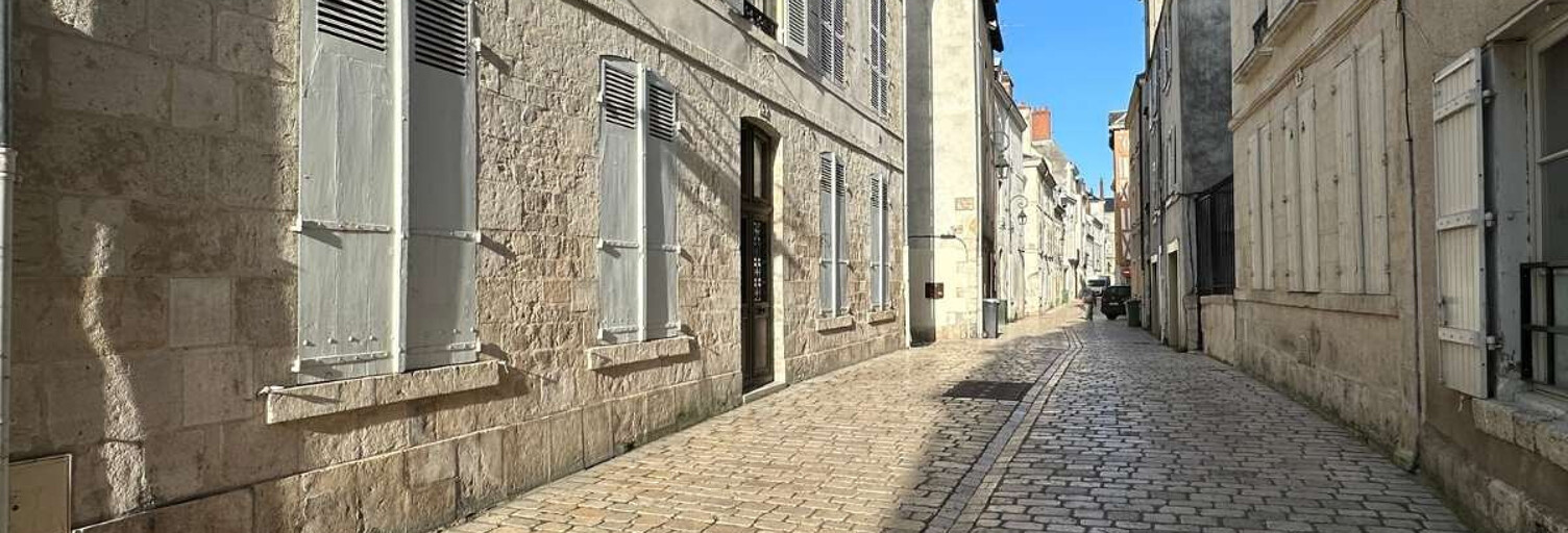 Maison 294 m² en viager Orléans (45000)