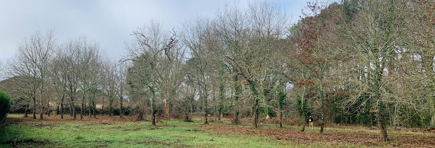 Terrain  803 m² à vendre à Lège (33950)