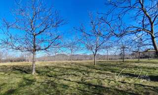 Terrain  9002 m² à vendre à Montpeyroux (63114)